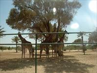 Photo: Al Areen Park Bahrain