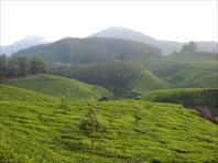 Photo: Munar