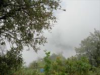 Photo: DSC06640.jpg