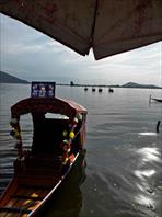 Photo: IMG_8497.jpg