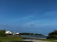 Photo: IMG_0558.jpg