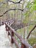 Thumbnail of Photo Number 751