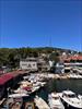 Thumbnail of Photo Number 801