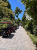 Thumbnail of Photo Number 807