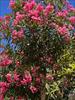 Thumbnail of Photo Number 811