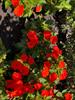 Thumbnail of Photo Number 830