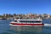 Photo: IMG_3135.jpg