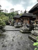 Photo: IMG_4474.jpg