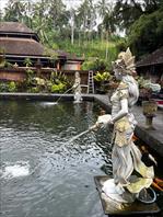 Photo: IMG_4520.jpg