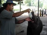 Photo: Elephant Orphanage Colombo