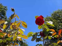 Photo: IMG_3101.jpg